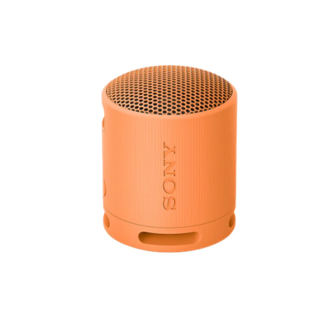 SRS-XB100 Portable Bluetooth Speaker