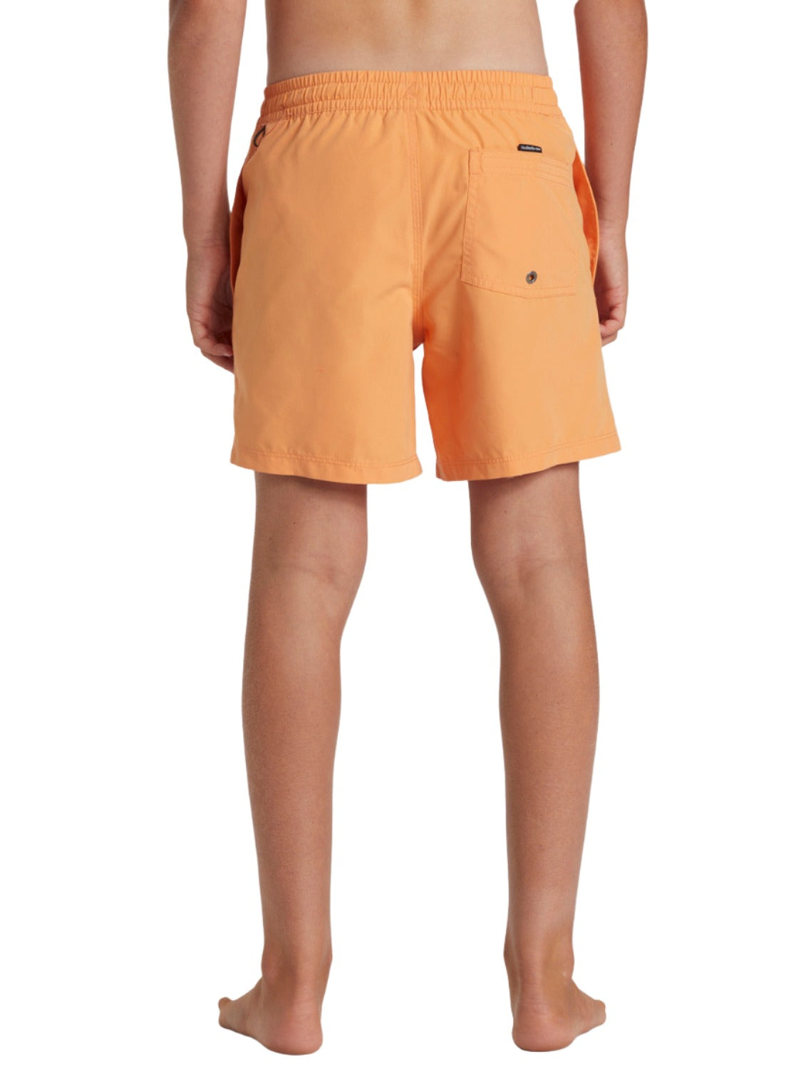 Everyday Solid Volley - Swim Shorts