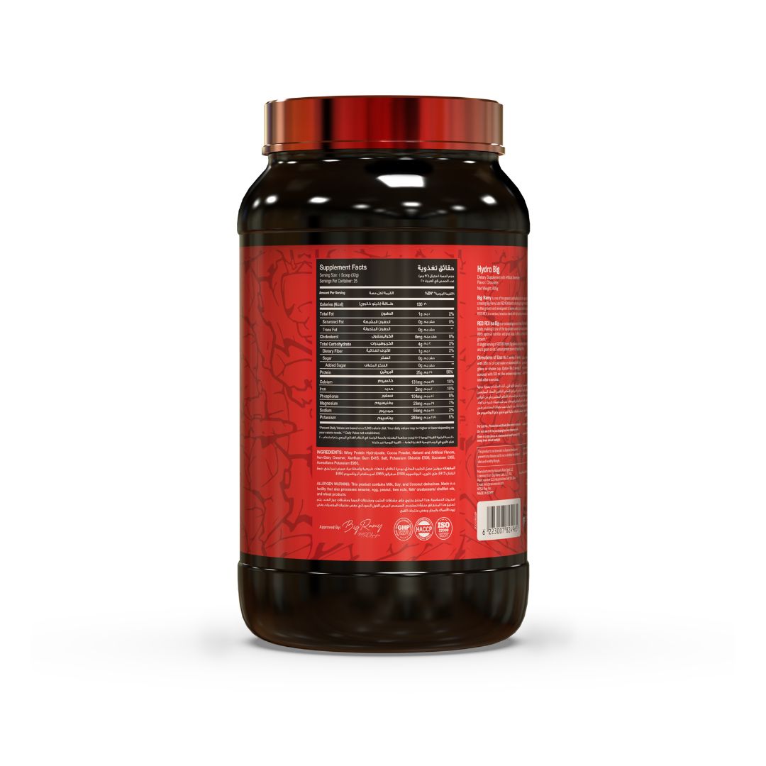 Hydro Big Chocolate - 800 Gm