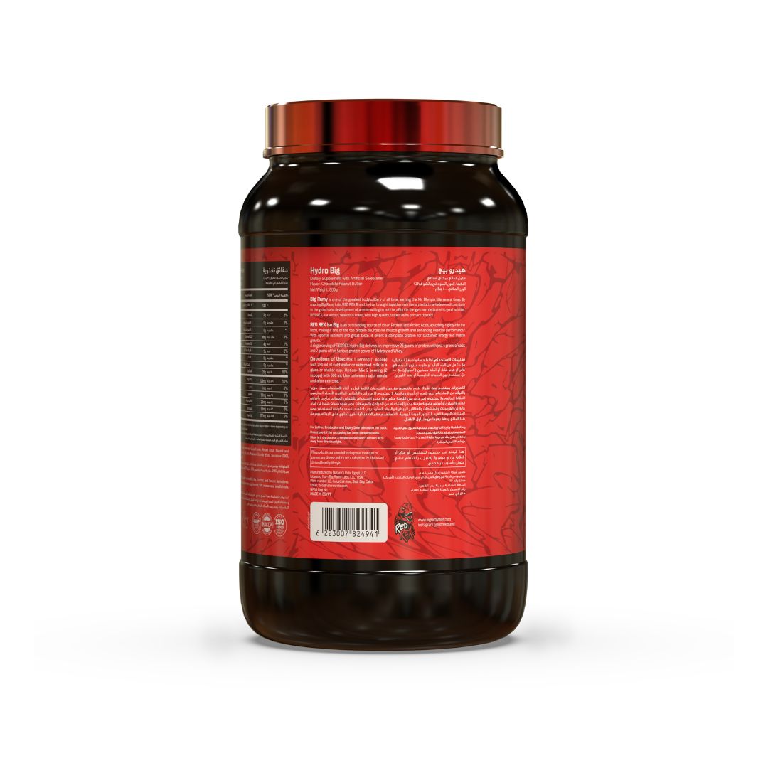 Hydro Big Chocolate Peanut Butter - 800 Gm