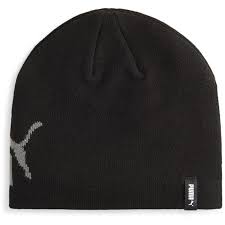 Essentials Logo Cuffless Beanie