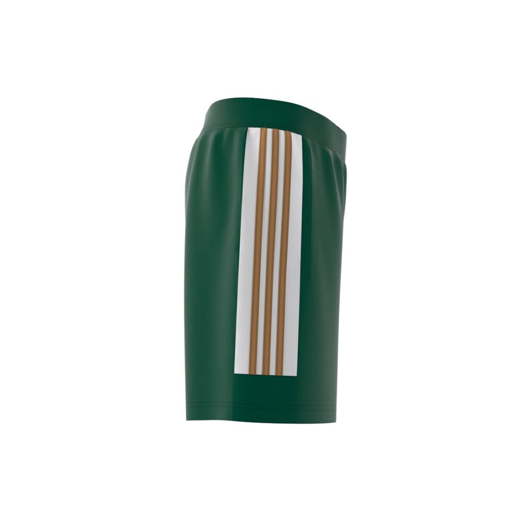 شورت هاوس أوف تييرو نيشنز باك  