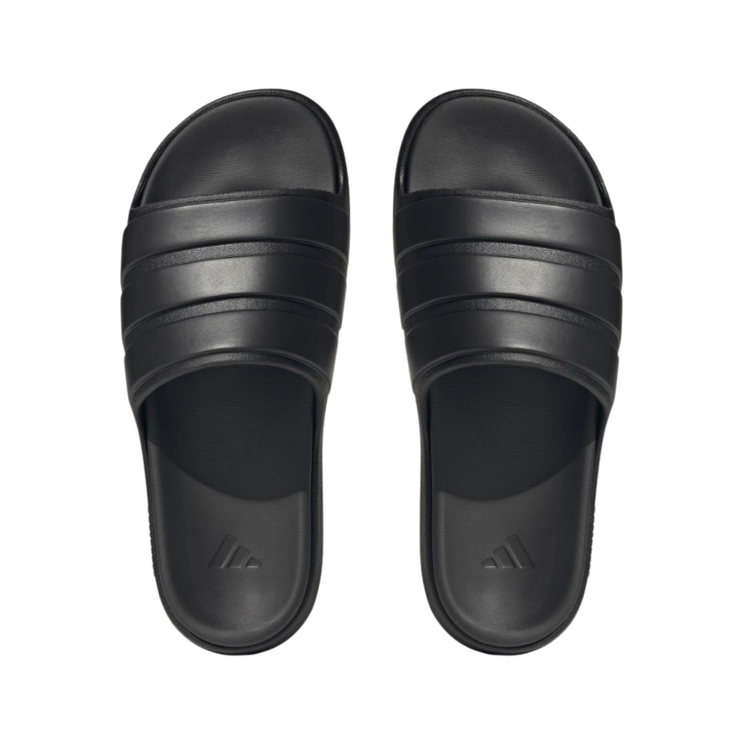 Znsory Slides