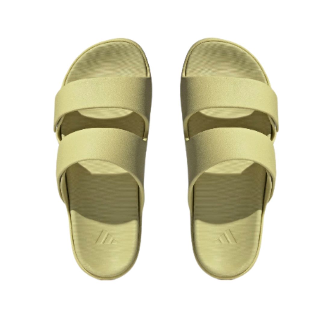 Znsory Slides