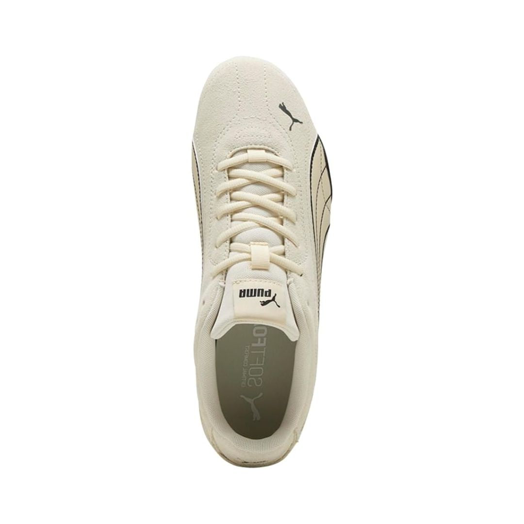 Catch SD Sneakers