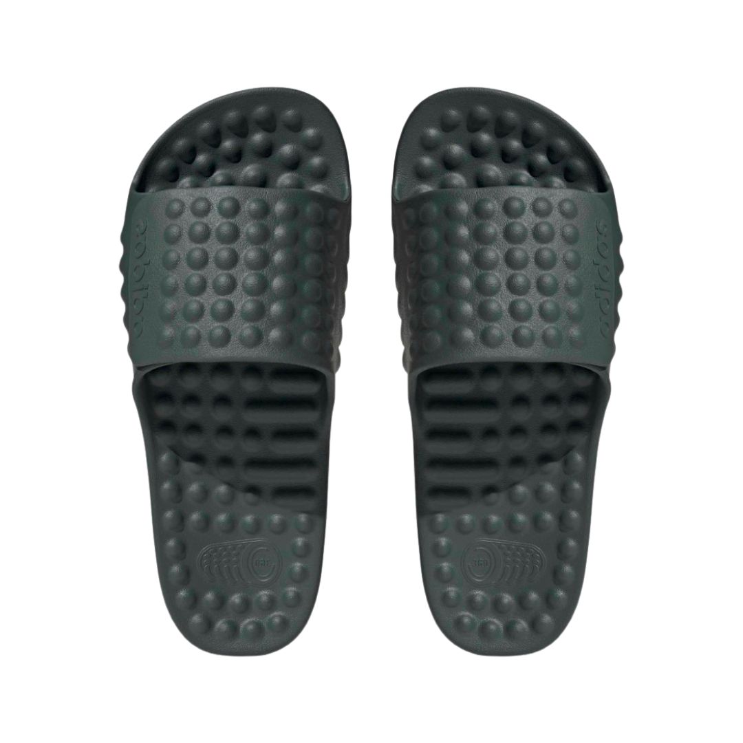 Adissage 360Rec Slides