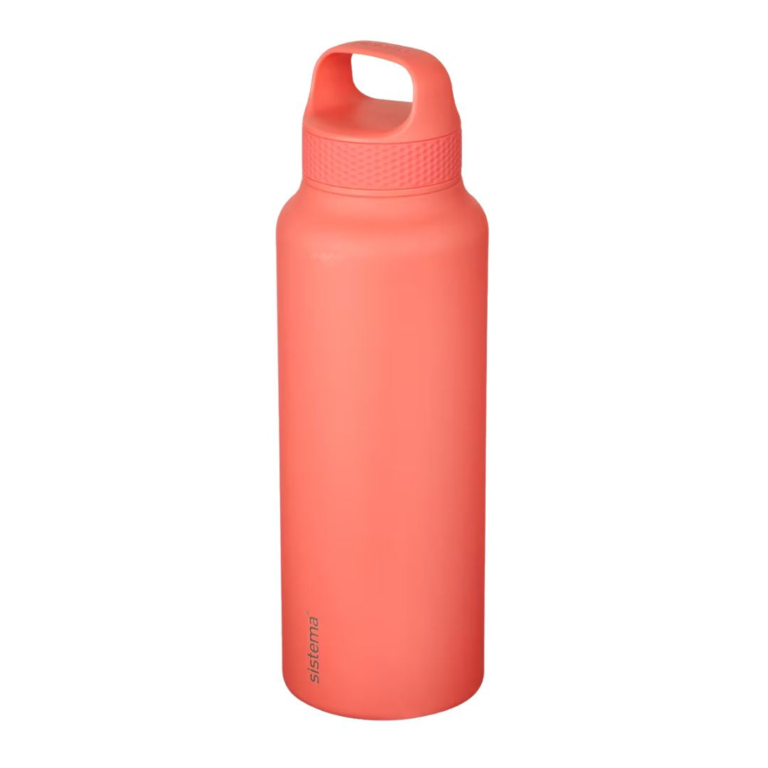 Stainless Steel Bottle Hydrate 650 ml