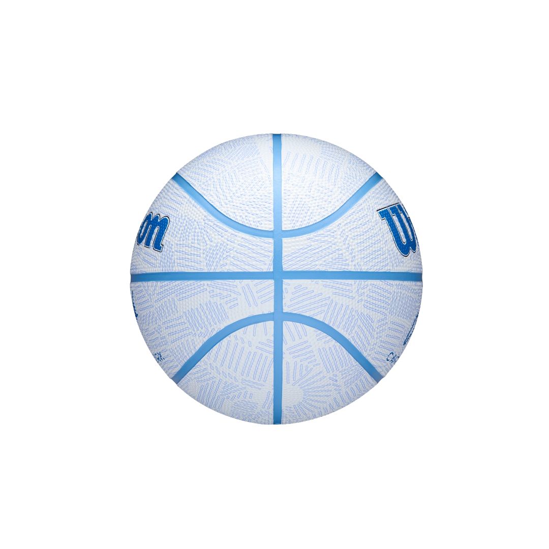 Caitlin Clark Envision Basketball