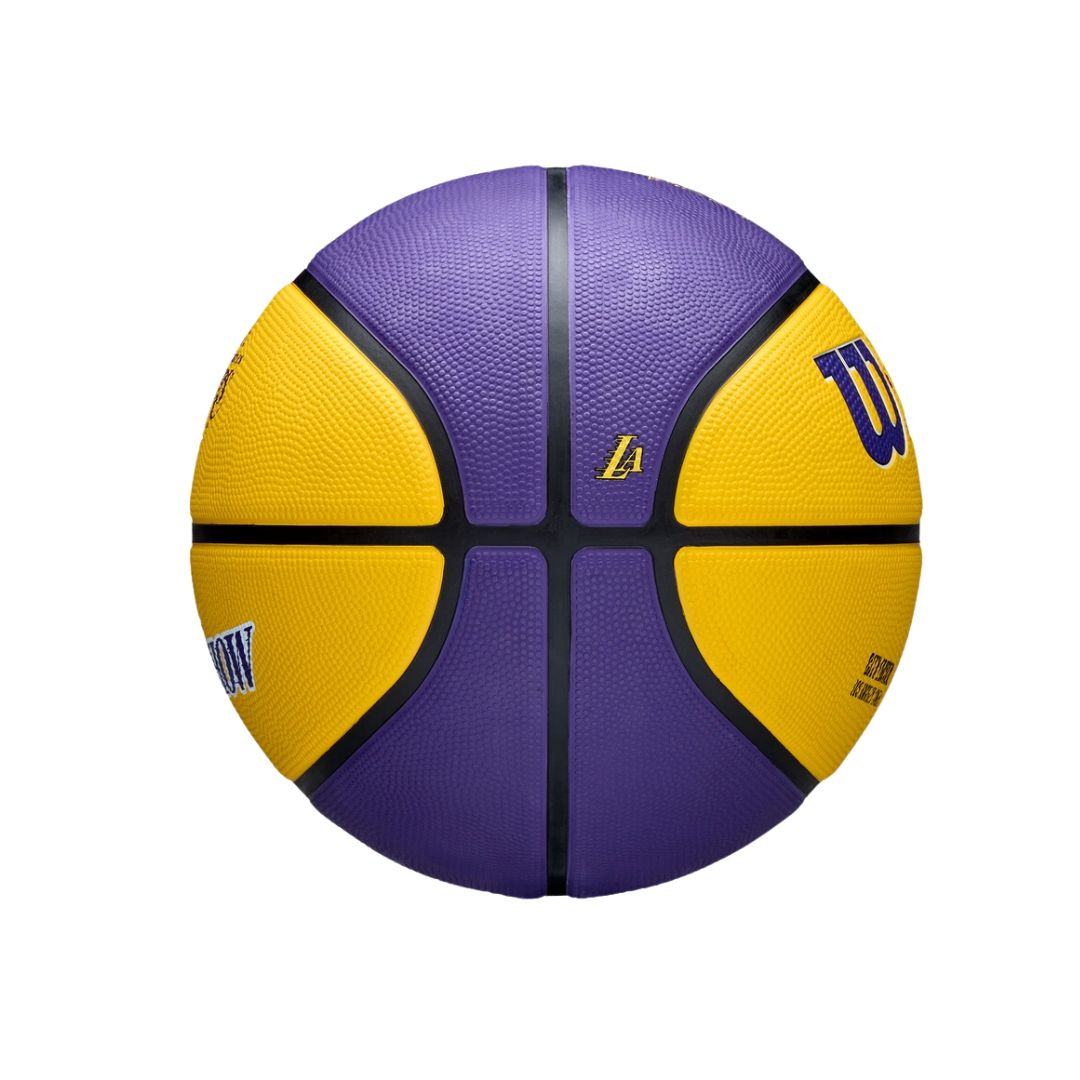 2024-2025 NBA Team City Edition Icon Los Angeles Lakers Basketball