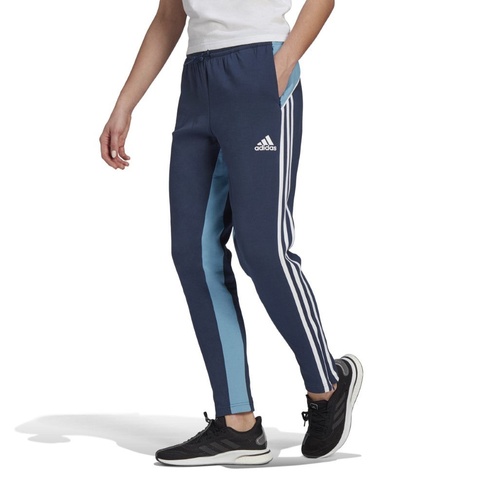 Sportswear Colorblock Pants - Blue