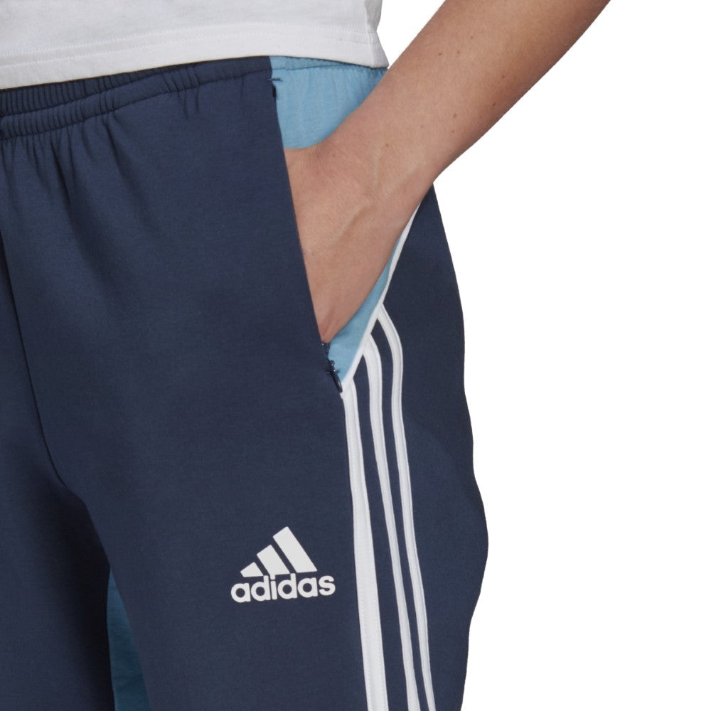 Sportswear Colorblock Pants - Blue