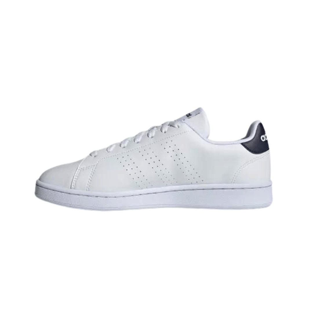 adidas advantage tenis