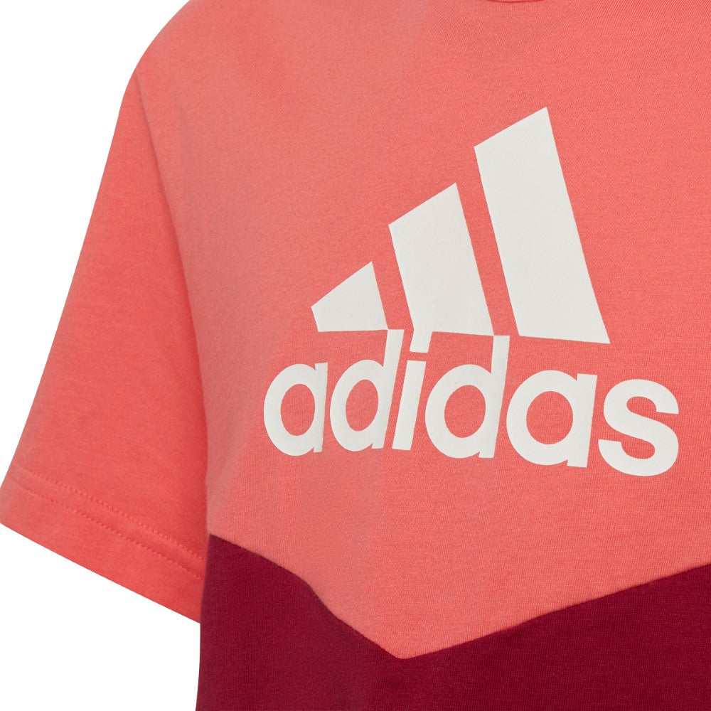 Colorblock T-shirt