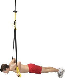 Optimum suspension online trainer